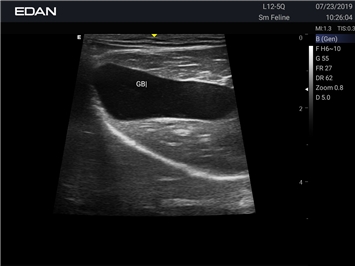 EDAN Acclarix AX3 VET